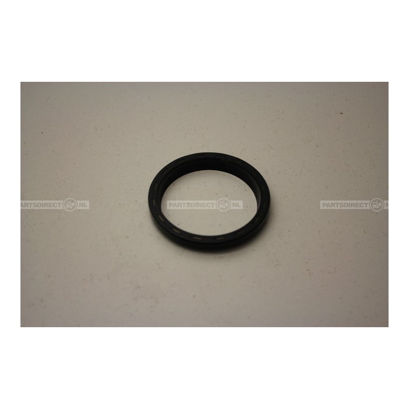 WIPER RING '45X55X7