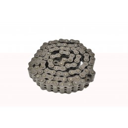 LEAF CHAIN 'A1-25,4X6X55-KS